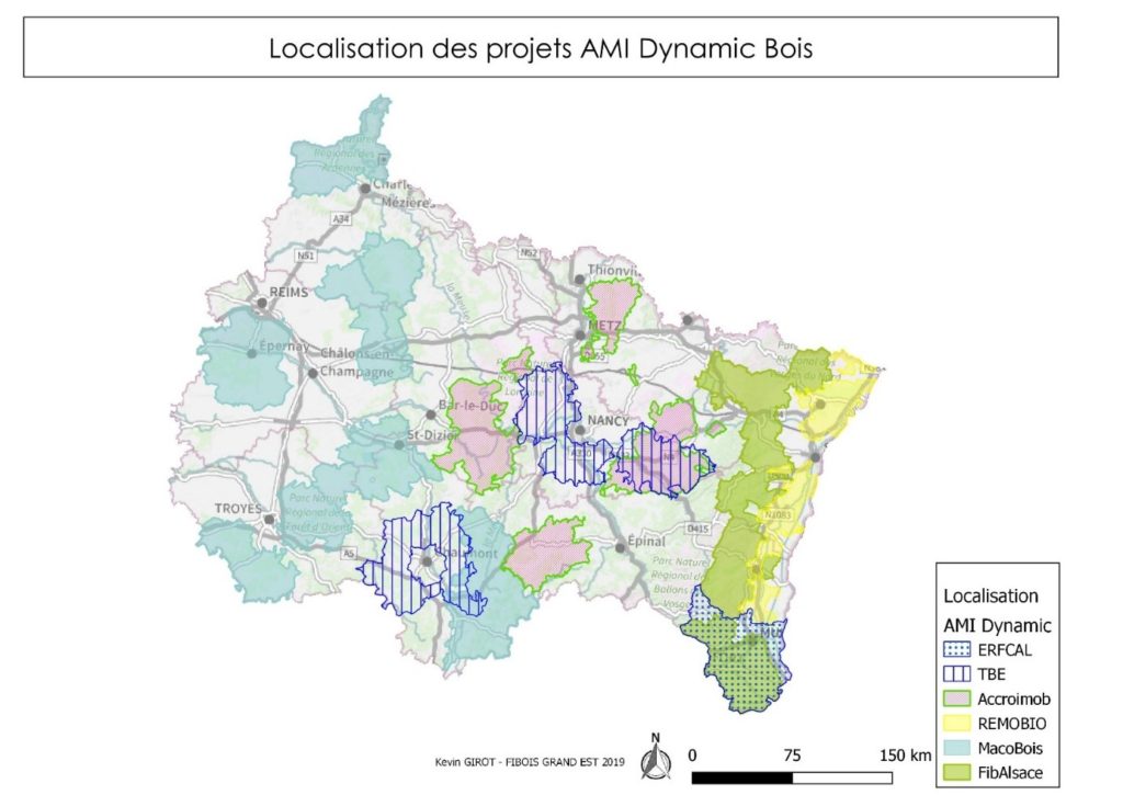 Fibois Grand Est Focus Sur Les AMI Dynamic Bois