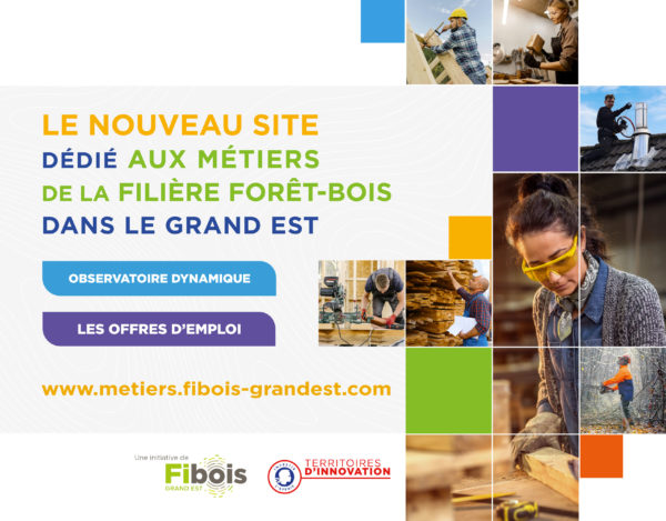 Fibois Grand Est Lemploi Dans La Fili Re For T Bois En Click