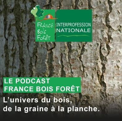 Fibois Grand Est Le podcast de FBF 40 le succès de la palette bois