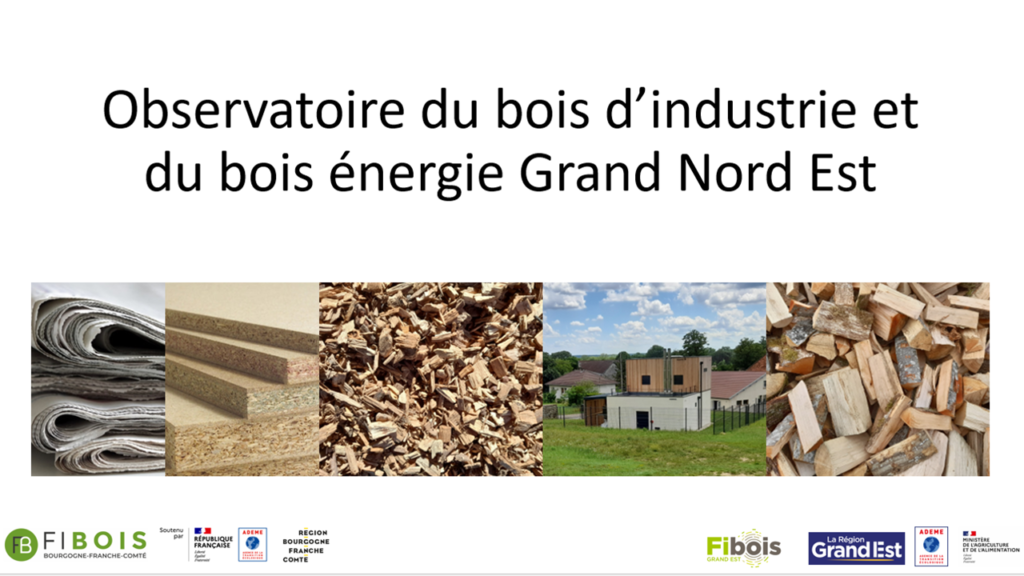 Fibois Grand Est Les Travaux De Lobservatoire Bois Dindustrie Et