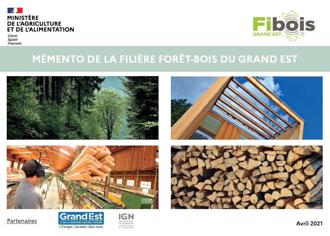 Une stratégie régionale pour la filière de la forêt et du bois